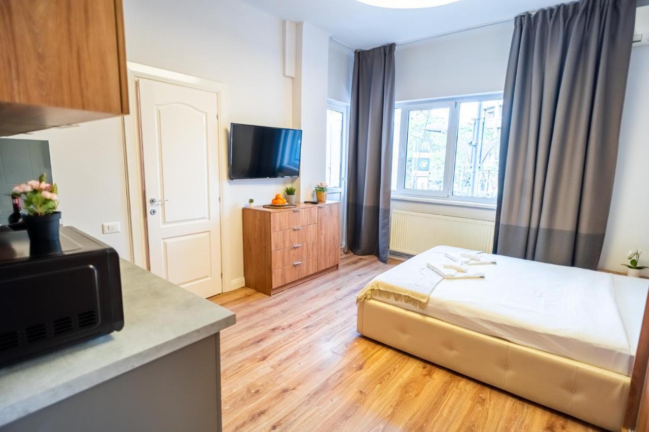 Cozy Apartments Near Calea Victoriei بوخارست المظهر الخارجي الصورة