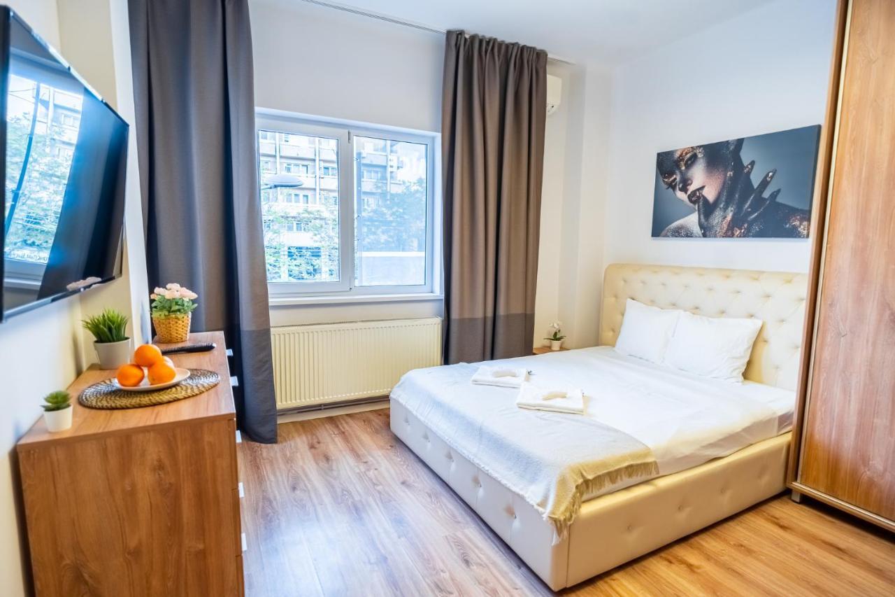 Cozy Apartments Near Calea Victoriei بوخارست المظهر الخارجي الصورة