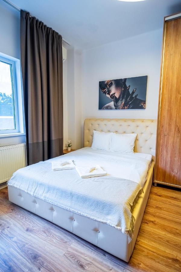 Cozy Apartments Near Calea Victoriei بوخارست المظهر الخارجي الصورة