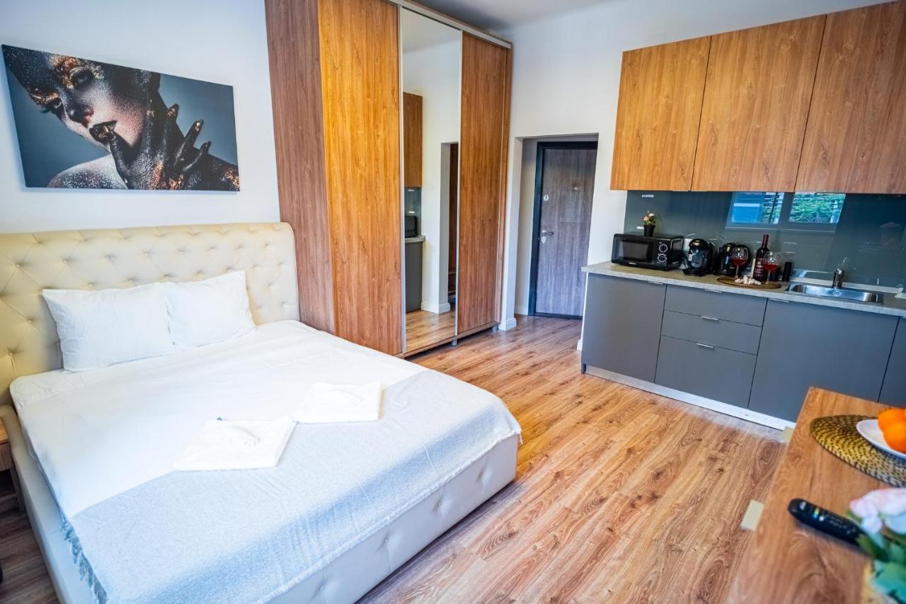 Cozy Apartments Near Calea Victoriei بوخارست المظهر الخارجي الصورة